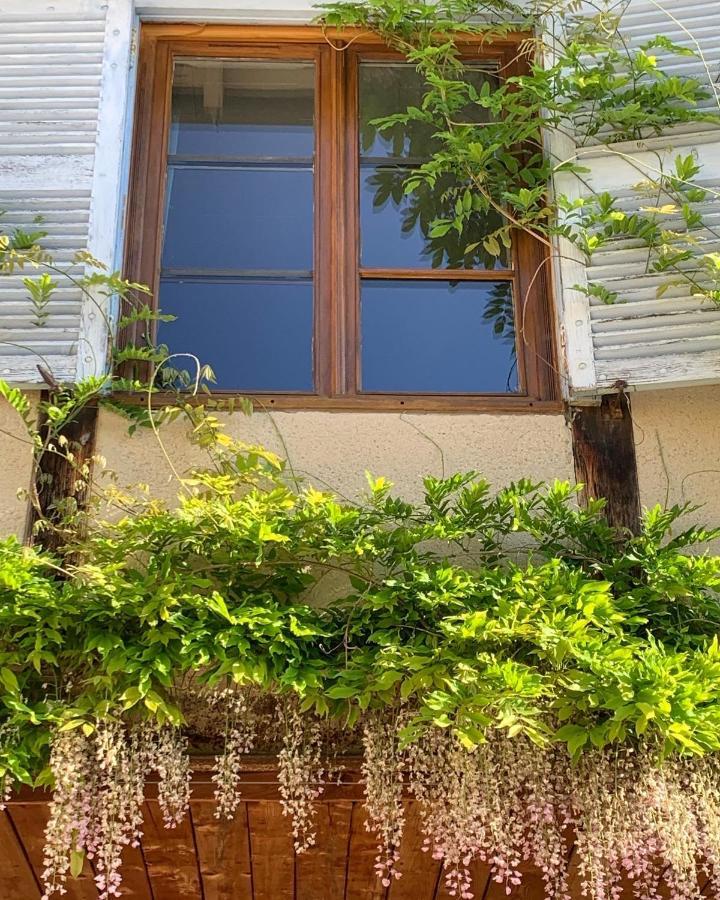 Apartament La Ferme Du Puy D'Or Limonest Zewnętrze zdjęcie